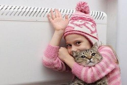 Кто должен промывать батареи в квартире. Кто должен заниматься заменой непригодных для использования батарей или их ремонтом?