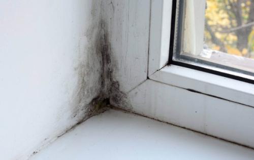 Как утеплить окна в частном доме. Конденсат на окнах и плесень на откосах: причины и решение проблемы