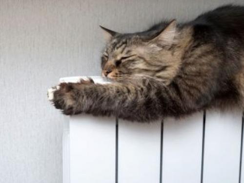 Биметалл или алюминий в частный дом. Различия 10 Биметалл или алюминий в частный дом. Различия 10