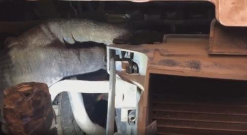 Замена радиатора охлаждения Рено Сандеро. Замена радиатора охлаждения на Рено Сандеро