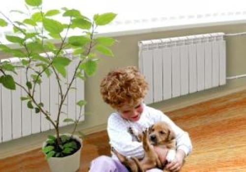 Радиаторы в деревянном доме. Как правильно установить алюминиевую и чугунную батарею отопления в доме