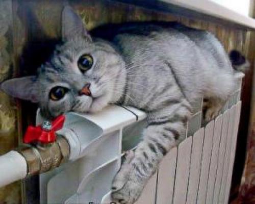 Радиаторы в деревянном доме. Как правильно установить алюминиевую и чугунную батарею отопления в доме