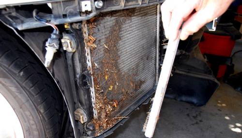 Чистка радиатора охлаждения. Когда нужна чистка